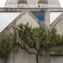 1976 – House in Uehara – Kazuo Shinohara